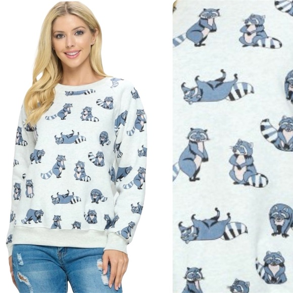 π¦ Raccoon Print Pullover Sweater Sweatshirt - Picture 1 of 11